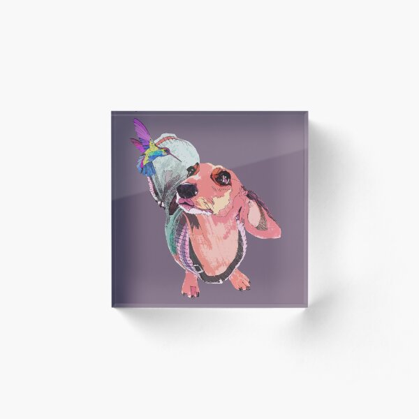 Handsome Dachshund and beautiful Hummingbird are falling in love. Acrylic Block