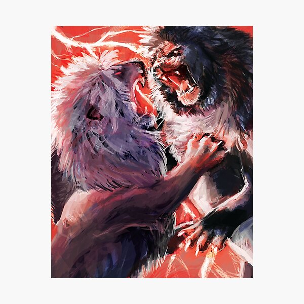 Fighting Lions Photographic Print