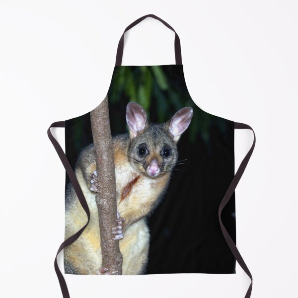 Item preview, Australian brushtail possum designed and sold by GeoPipics.