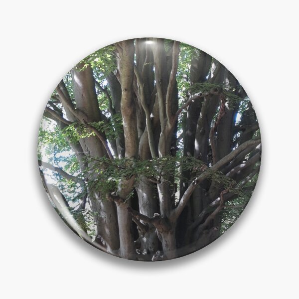 Item preview, The Witches Tree designed and sold by amanda150771.