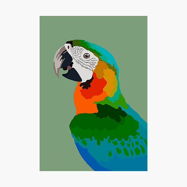 Item preview, Hybrid macaw designed and sold by Meluiben.