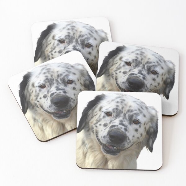 Item preview, Look at Me! designed and sold by AH Fotography.