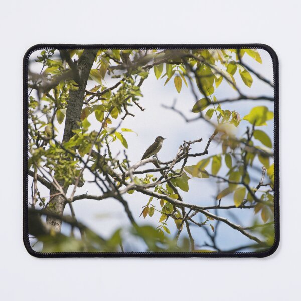 Item preview, A special visitor designed and sold by distracted.