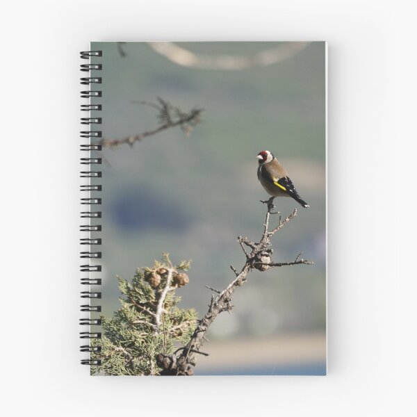 Item preview, European goldfinch designed and sold by distracted.
