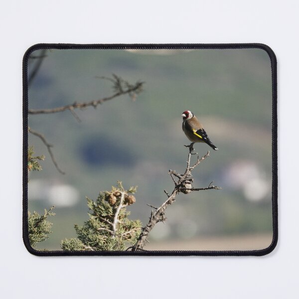Item preview, European goldfinch designed and sold by distracted.