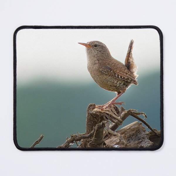 Item preview, Perched wren designed and sold by inspireyoureyes.