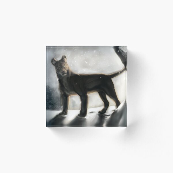 Lioness in the Snow Acrylic Block