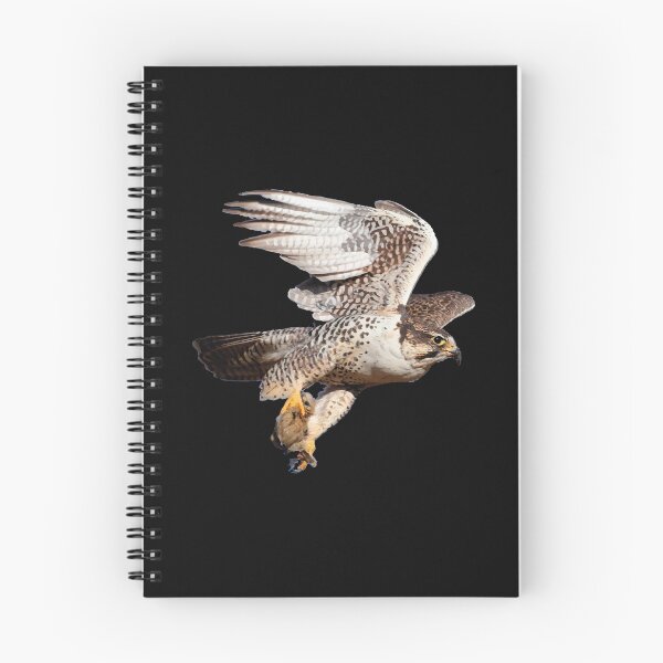 Item preview, Falcon Saker flying designed and sold by YoshiArtDesign.
