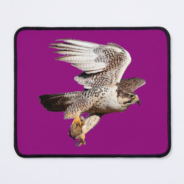 Item preview, Falcon Saker flying designed and sold by YoshiArtDesign.