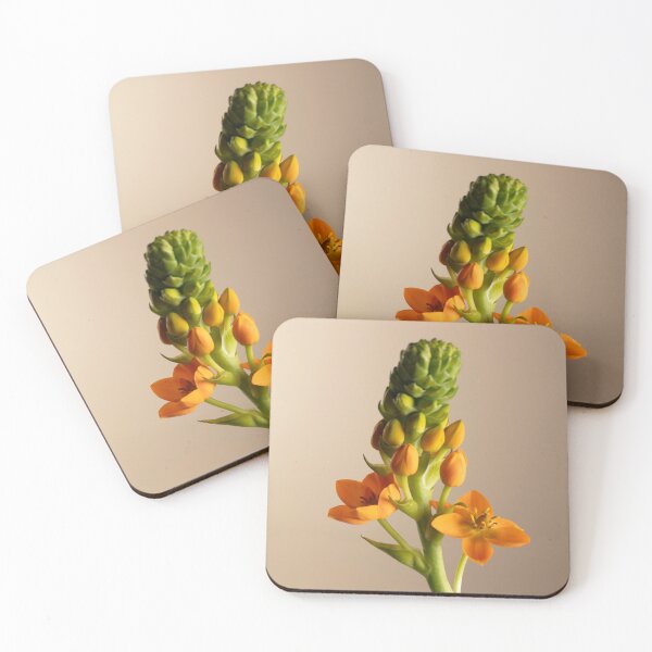 Item preview,  Blossoming Stem designed and sold by pepinodemarst.