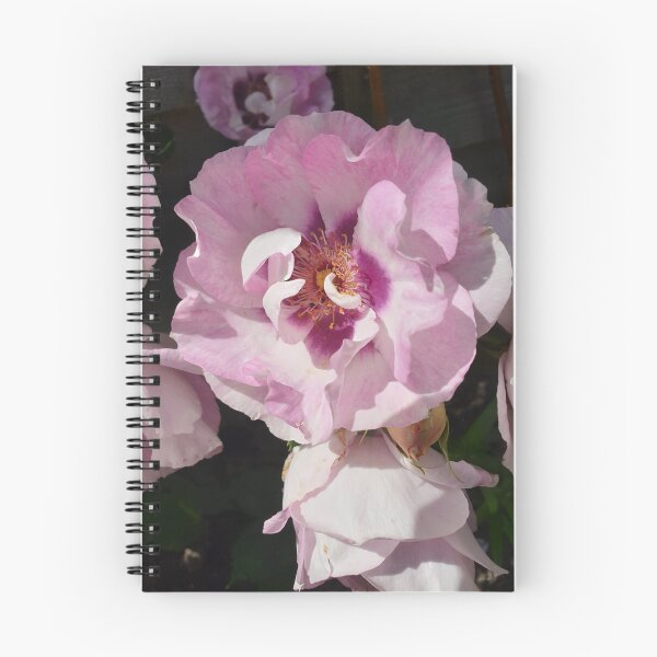 Item preview, Country Rose designed and sold by amanda150771.