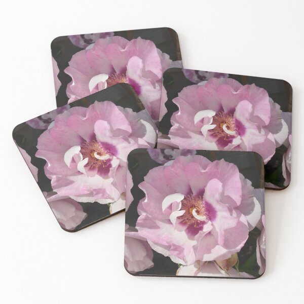 Item preview, Country Rose designed and sold by amanda150771.
