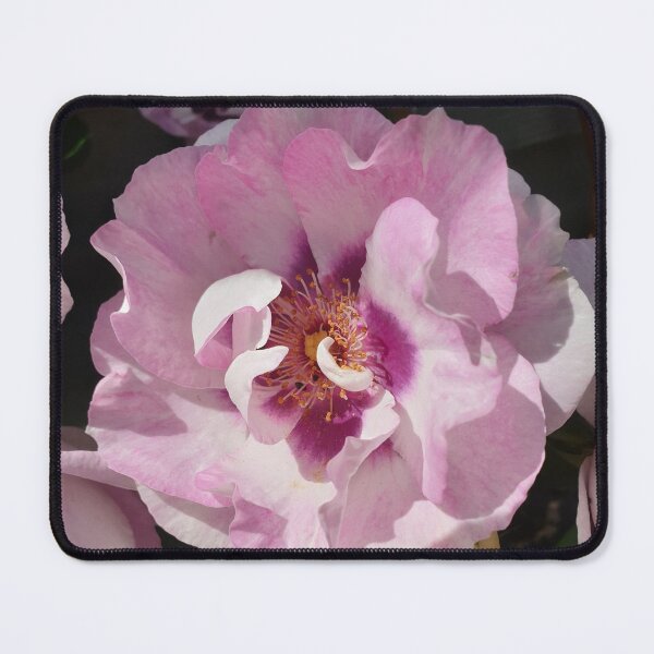 Item preview, Country Rose designed and sold by amanda150771.