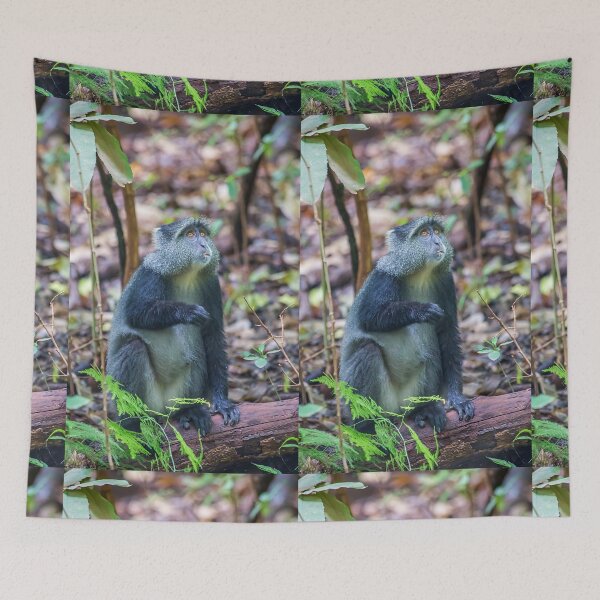 Item preview, Tanzania. Lake Manyara National Park. Blue Monkey. designed and sold by vadim19.