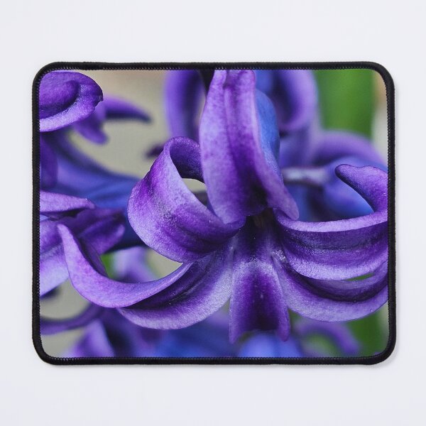 Item preview, Heavenly Hyacinth designed and sold by picturedlcphoto.