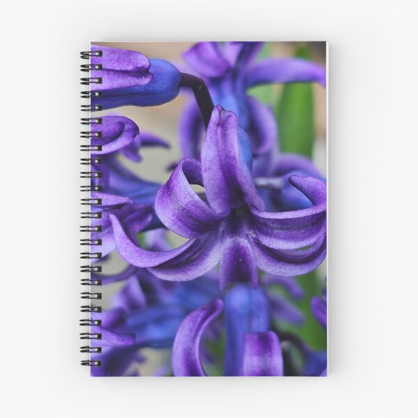 Item preview, Heavenly Hyacinth designed and sold by picturedlcphoto.