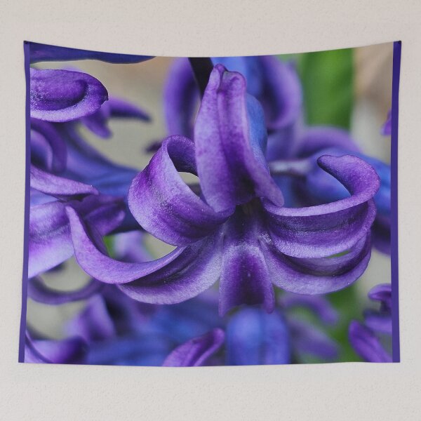Item preview, Heavenly Hyacinth designed and sold by picturedlcphoto.