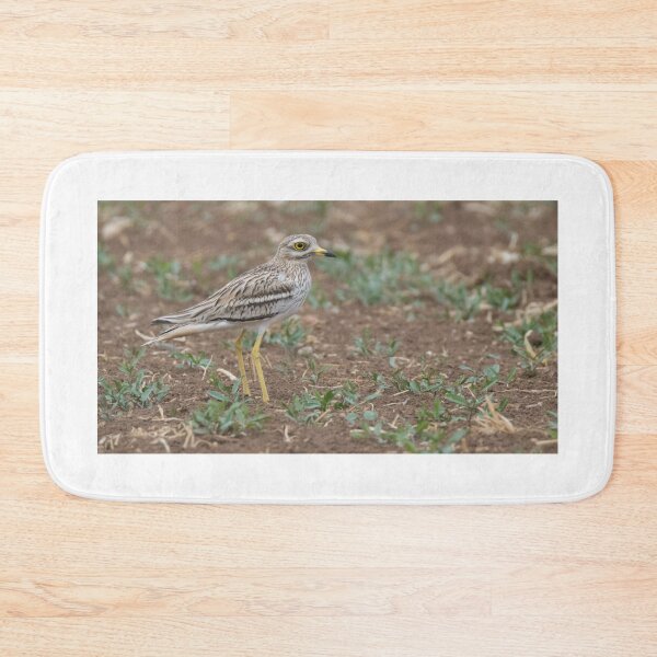 Item preview, Stone Curlew designed and sold by LaurenTucker.