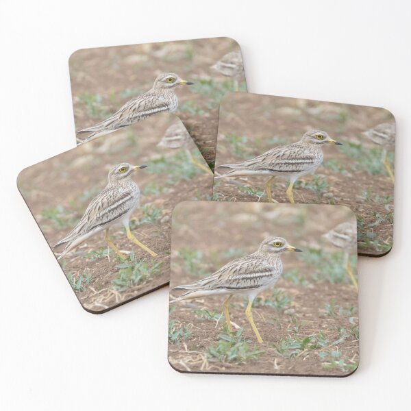 Item preview, Stone Curlew designed and sold by LaurenTucker.