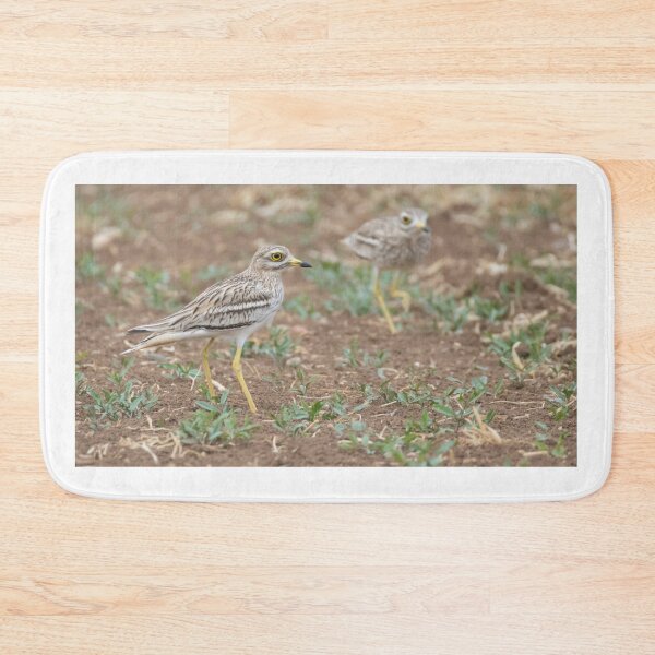Item preview, Stone Curlew designed and sold by LaurenTucker.