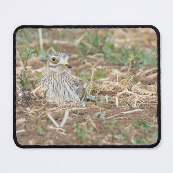 Item preview, Stone Curlew designed and sold by LaurenTucker.