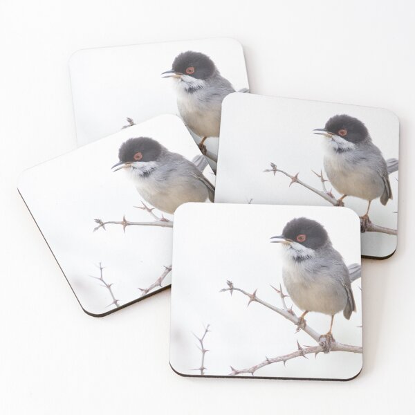 Item preview, Sardinian Warbler designed and sold by LaurenTucker.