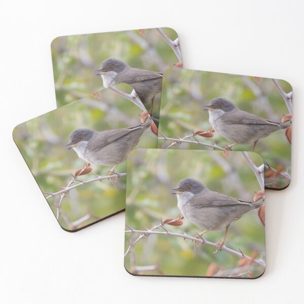 Item preview, Sardinian Warbler designed and sold by LaurenTucker.