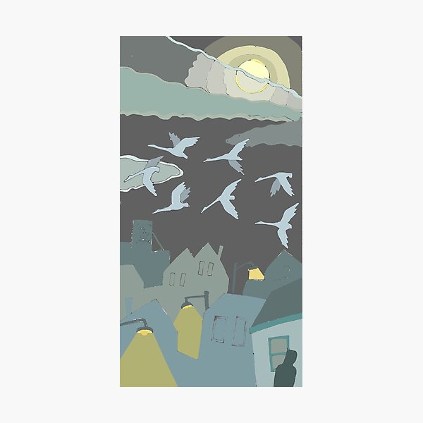 Tundra Swans Photographic Print