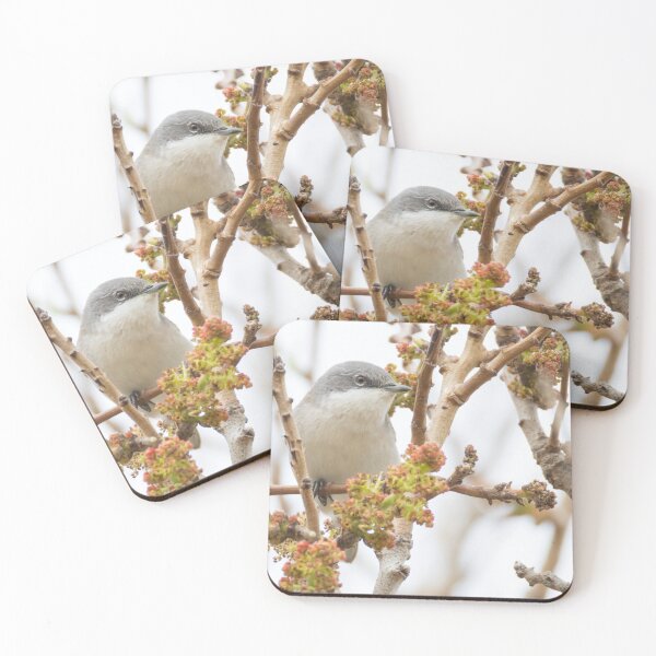Item preview, Lesser Whitethroat designed and sold by LaurenTucker.