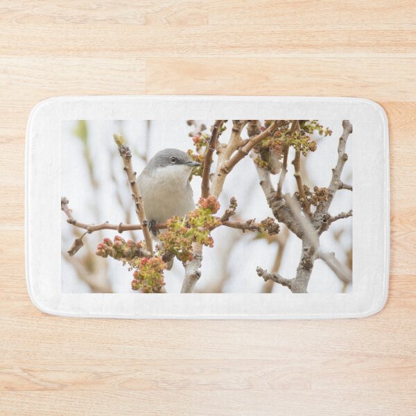 Item preview, Lesser Whitethroat designed and sold by LaurenTucker.