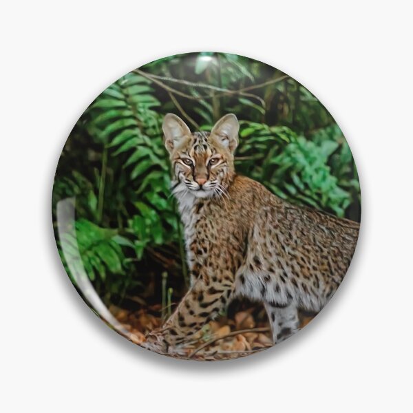 Item preview, Florida Bobcat designed and sold by Kay Brewer.