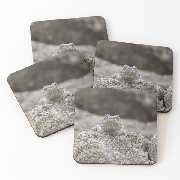 Item preview, Cyprus Rock Agama designed and sold by LaurenTucker.