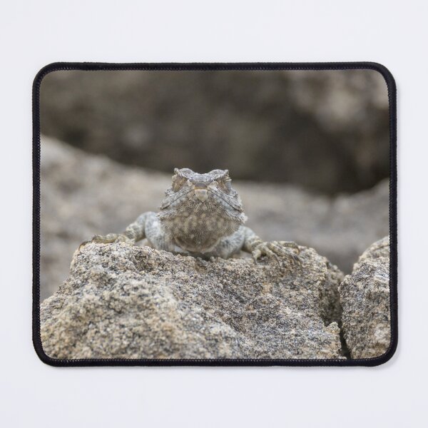 Item preview, Cyprus Rock Agama designed and sold by LaurenTucker.
