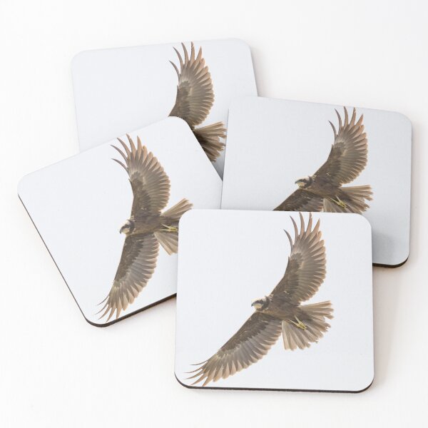 Item preview, Western Marsh Harrier designed and sold by LaurenTucker.