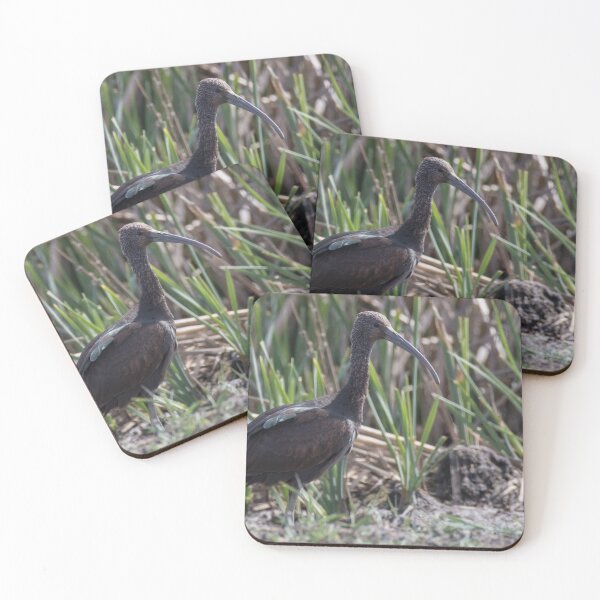 Item preview, Glossy Ibis designed and sold by LaurenTucker.