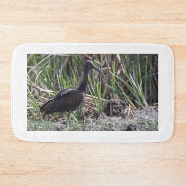 Item preview, Glossy Ibis designed and sold by LaurenTucker.