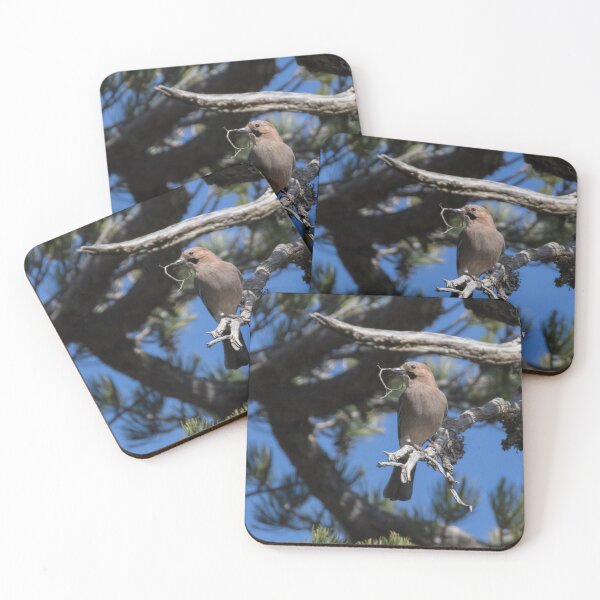 Item preview, Cyprus Jay designed and sold by LaurenTucker.