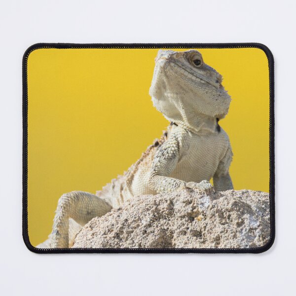 Item preview, Cyprus Rock Agama designed and sold by LaurenTucker.