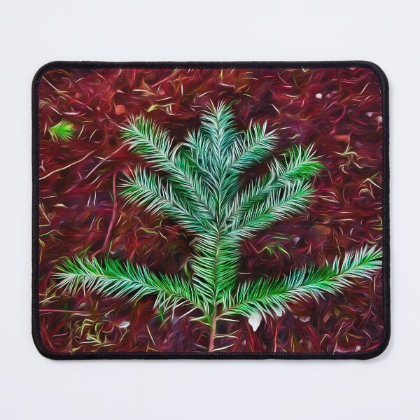 Item preview, Grounded designed and sold by Steve Walser.