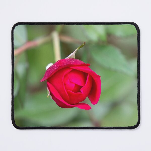 Item preview, Budding Rose designed and sold by TinyDinoDesigns.