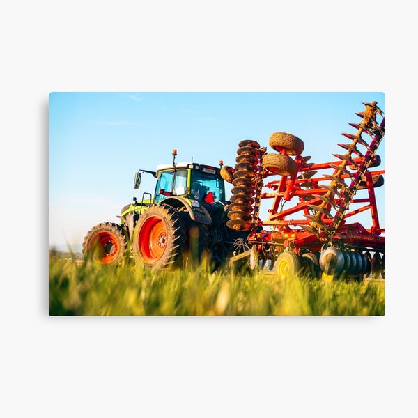 Morning Splendor Canvas Print
