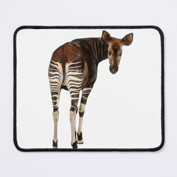 Item preview, Enigmatic Okapi: A Glimpse of Striped Elegance designed and sold by NatureSyllabus.
