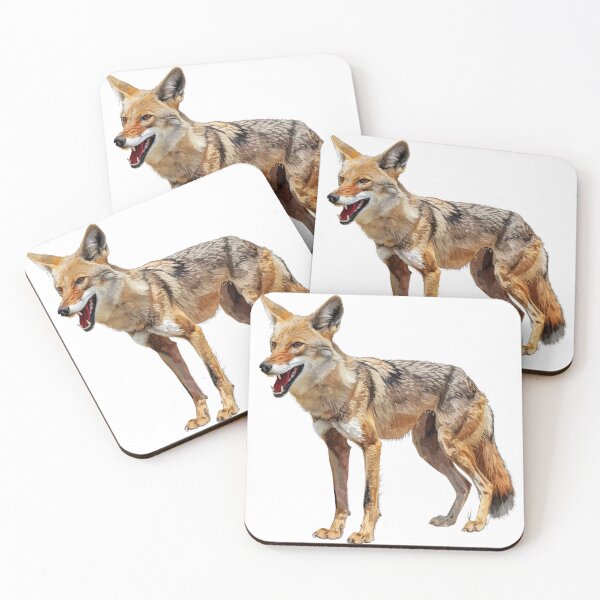 Item preview, Alert Jackal on Savannah Watch designed and sold by NatureSyllabus.