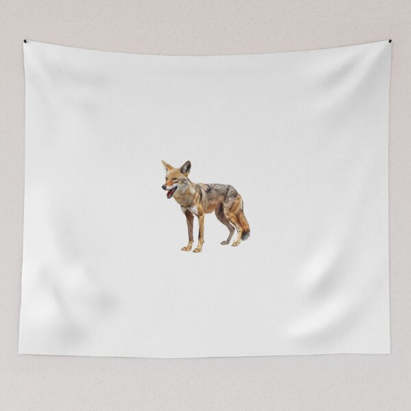 Item preview, Alert Jackal on Savannah Watch designed and sold by NatureSyllabus.