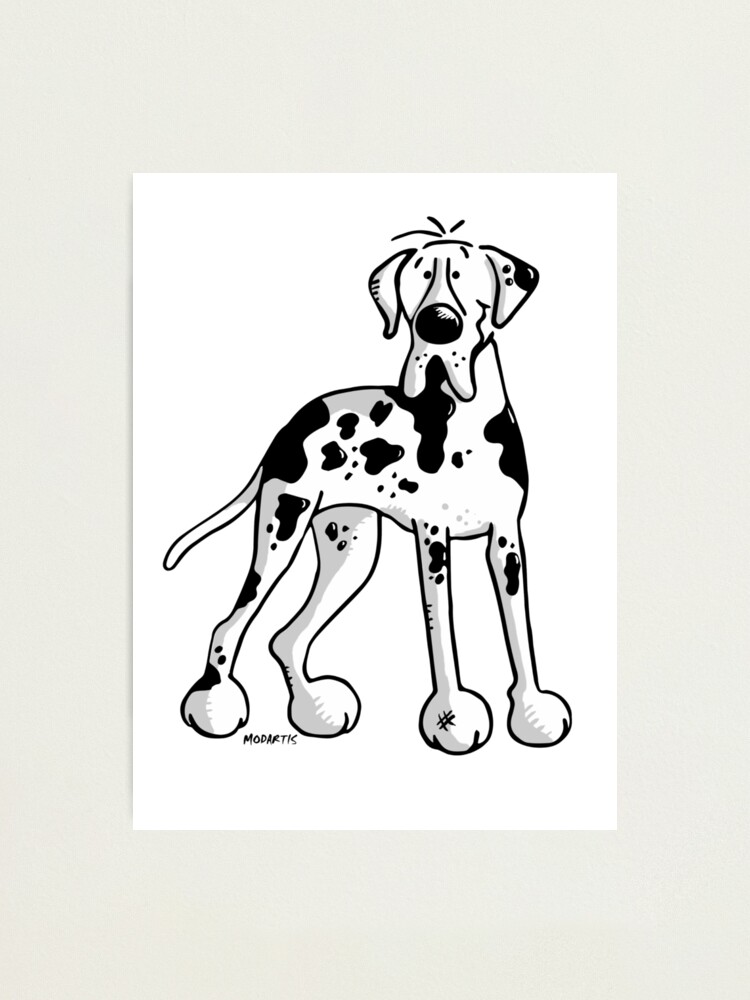 Great Dane Cartoon Great Dane Cartoon