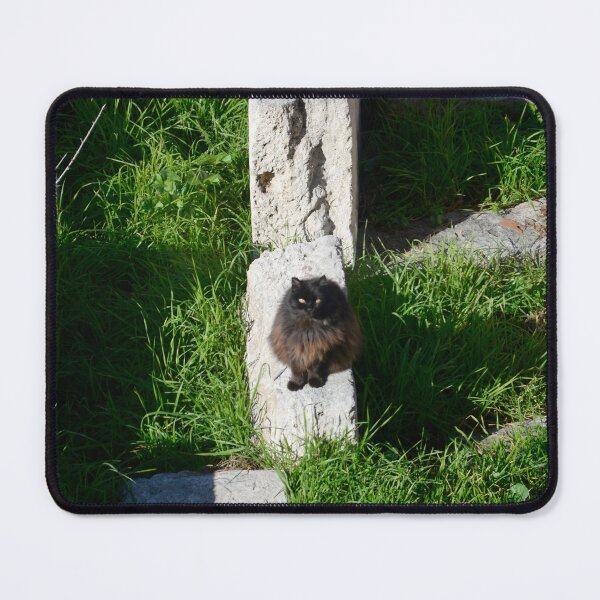 Item preview, Europe - Rome, cat in ruins designed and sold by Natasha Cusmanich.