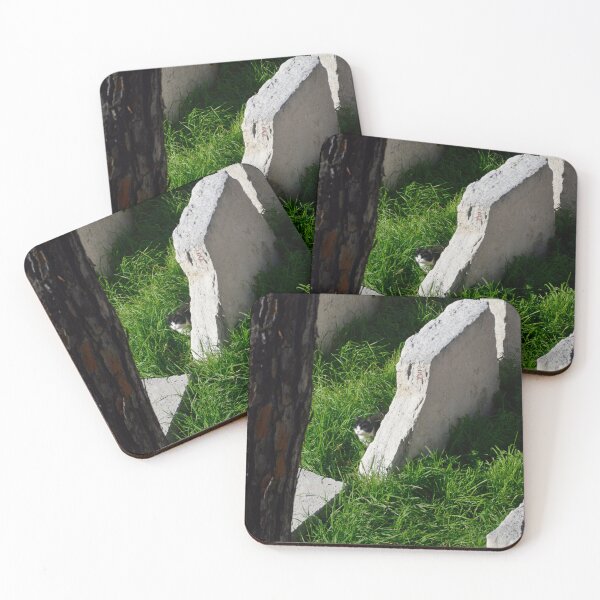 Item preview, Europe - Rome, cat in ruins designed and sold by Natasha Cusmanich.