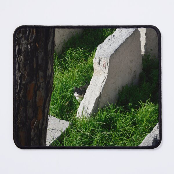 Item preview, Europe - Rome, cat in ruins designed and sold by Natasha Cusmanich.