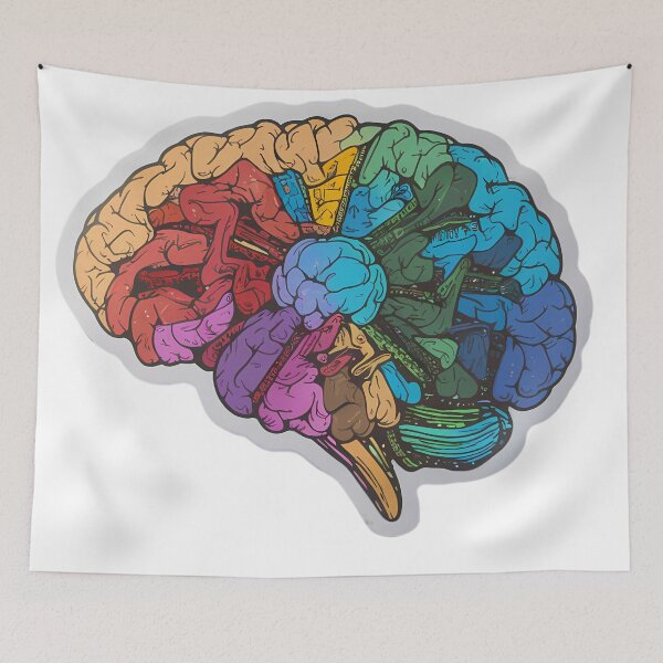 Item preview, Colorful Human Brain Anatomy Sticker, Educational Neurology Decal, Neurodivergent, Artistic Mind Illustration, Vibrant Brain Art designed and sold by WatermelonPink.