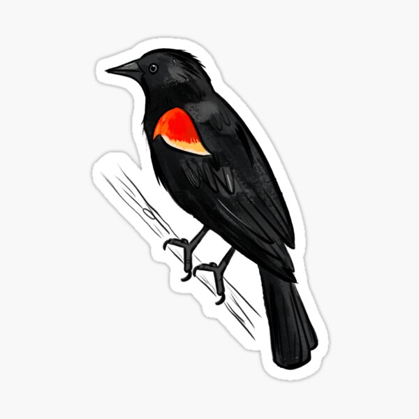 Item preview, Red-winged blackbird designed and sold by girlinwhiteglasses.